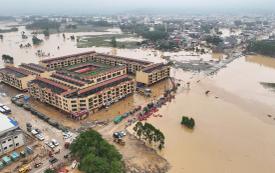 Floods trigger mass zoo animal escape in southern China after Typhoon Maysak