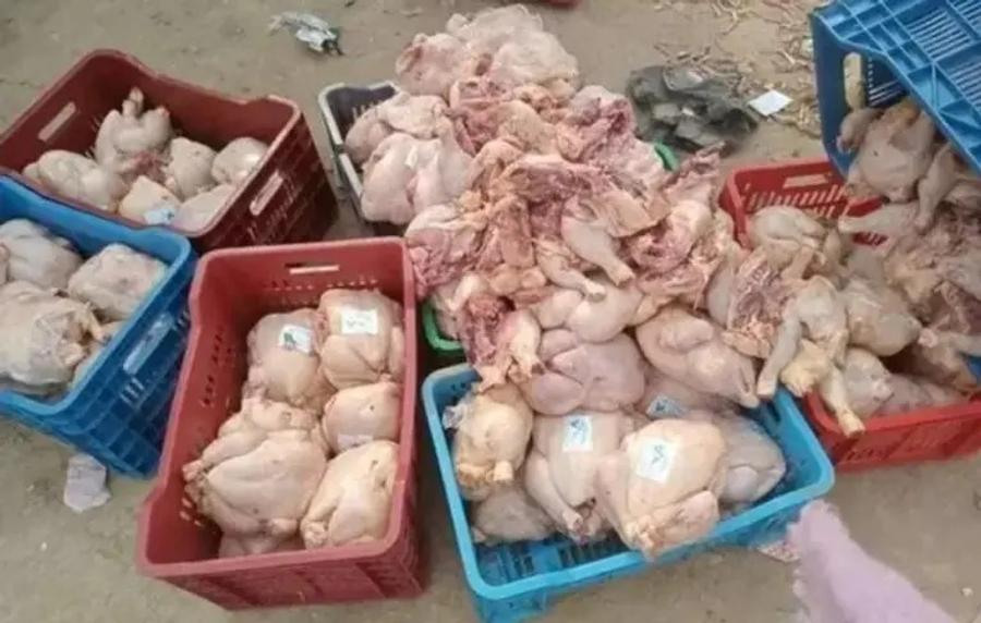 حجز طن من الدجاج الفاسد ببركان