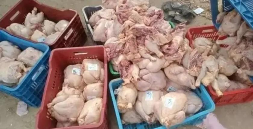 حجز طن من الدجاج الفاسد ببركان