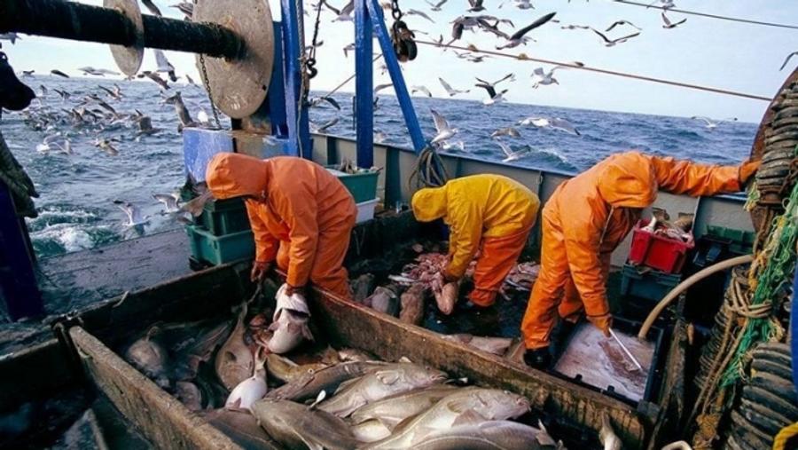 Le Maroc, partenaire stratégique des exportations espagnoles de produits de la mer