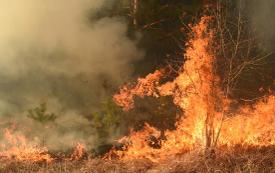 Six Southern French departments face ‘Very High’ wildfire risk as heatwave intensifies