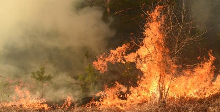 Six Southern French departments face ‘Very High’ wildfire risk as heatwave intensifies