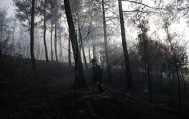 Dos muertos mientras un incendio forestal destruye una casa cerca de Tesalónica en el norte de Grecia