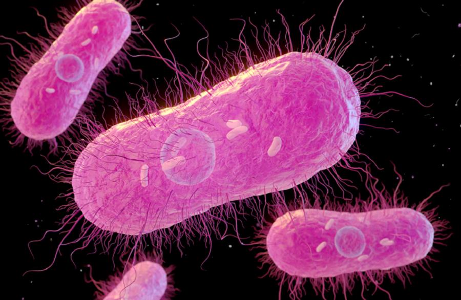 Climate change accelerates global rise in antimicrobial resistance, experts warn