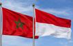 Maroc-Indonésie : La coopération en matière de défense prend une nouvelle dimension
