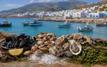 Sécurité sanitaire : interdiction temporaire des produits conchylicoles à Tétouan et Chefchaouen