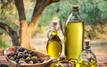 Le Maroc préside le Conseil oléicole international et confirme son leadership dans la filière de l’huile d’olive