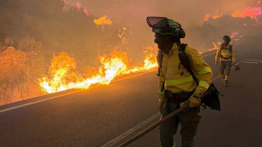 Espagne : Un violent incendie en Andalousie fait au moins 11 morts près d’Almería
