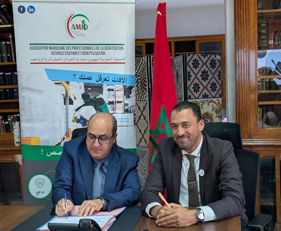 Prévention estivale : l’AM3D appelle à renforcer la lutte contre les nuisibles au Maroc