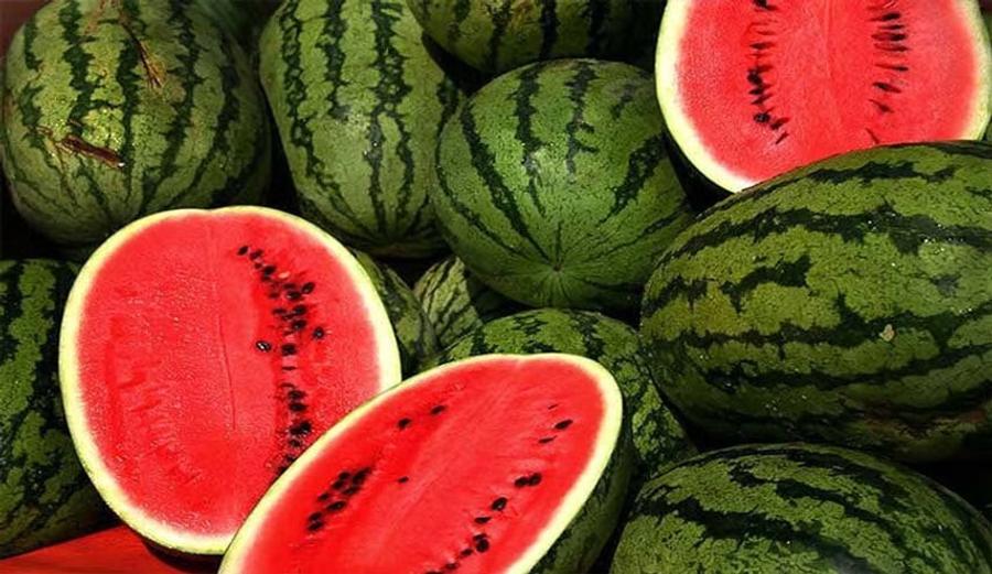 بعد الجدل.. "أونسا" يؤكد سلامة "الدلاح"