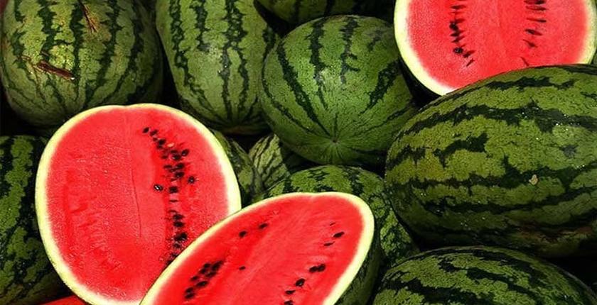 بعد الجدل.. "أونسا" يؤكد سلامة "الدلاح"