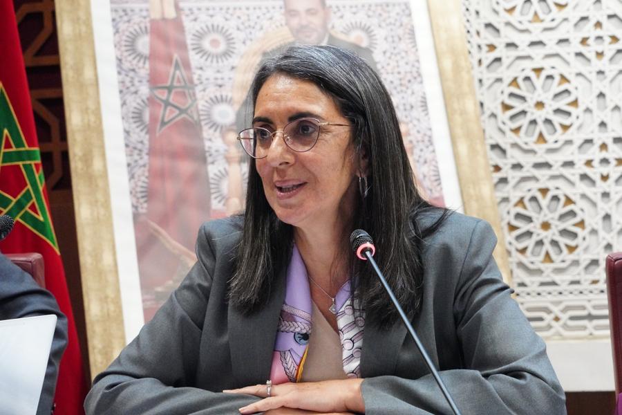 فتاح تعرض ملامح إعداد ميزانية 2027 أمام لجنتي المالية