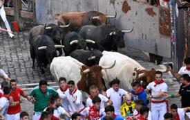 İspanya'daki San Fermín festivalinde geleneksel boğa koşularında 57 yaralı