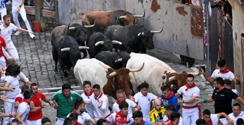 İspanya'daki San Fermín festivalinde geleneksel boğa koşularında 57 yaralı