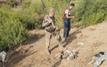 Morocco sets October 4 opening date for 2026-2027 hunting season