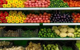Le Maroc confirme son leadership comme premier fournisseur hors Union européenne de fruits et légumes pour l’Espagne
