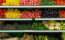 Le Maroc confirme son leadership comme premier fournisseur hors Union européenne de fruits et légumes pour l’Espagne