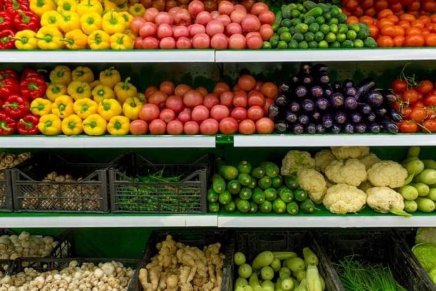 Le Maroc confirme son leadership comme premier fournisseur hors Union européenne de fruits et légumes pour l’Espagne