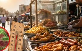 مطالب برلمانية بمراقبة مأكولات الشوارع مع ارتفاع الحرارة