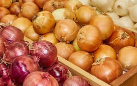 Le Maroc enregistre des importations record d’oignons pour contenir la hausse des prix