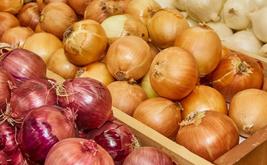Le Maroc enregistre des importations record d’oignons pour contenir la hausse des prix