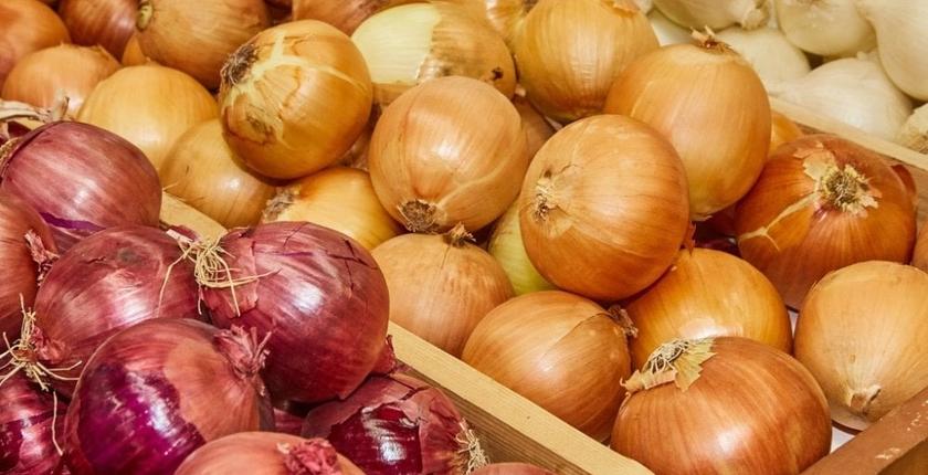 Le Maroc enregistre des importations record d’oignons pour contenir la hausse des prix