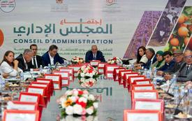 Agriculture au Maroc : l’ORMVA du Souss-Massa confirme ses performances et ses investissements