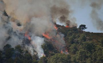 Incendie en Andalousie : les autorités identifient les 13 victimes du drame de Los Gallardos