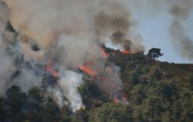 Incendie en Andalousie : les autorités identifient les 13 victimes du drame de Los Gallardos
