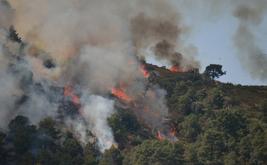 Incendie en Andalousie : les autorités identifient les 13 victimes du drame de Los Gallardos