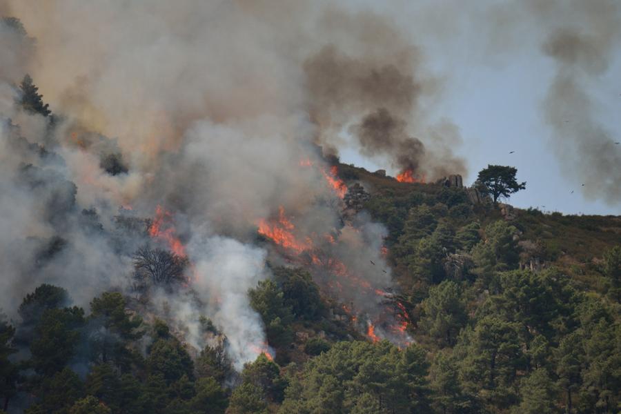 Incendie en Andalousie : les autorités identifient les 13 victimes du drame de Los Gallardos