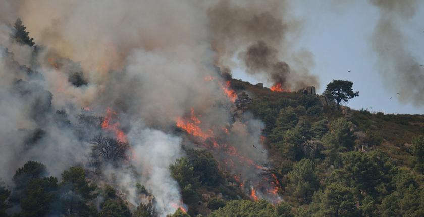 Incendie en Andalousie : les autorités identifient les 13 victimes du drame de Los Gallardos