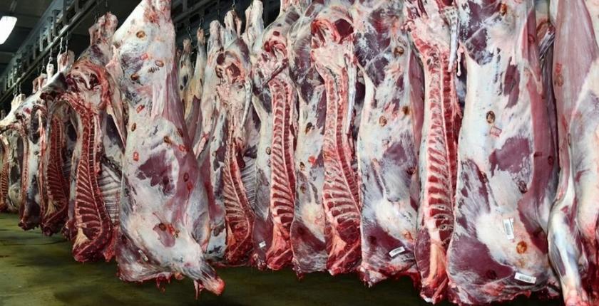 Marché de gros à Casablanca : stabilité des fruits, recul des légumes et viandes toujours chères