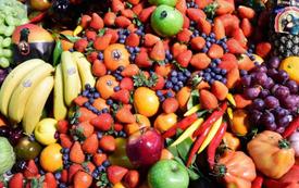 Exportations agricoles : le Maroc renforce son leadership sur le marché espagnol