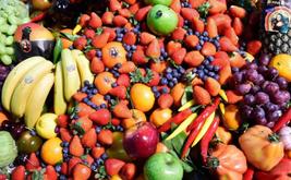 Exportations agricoles : le Maroc renforce son leadership sur le marché espagnol