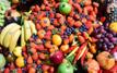 Exportations agricoles : le Maroc renforce son leadership sur le marché espagnol