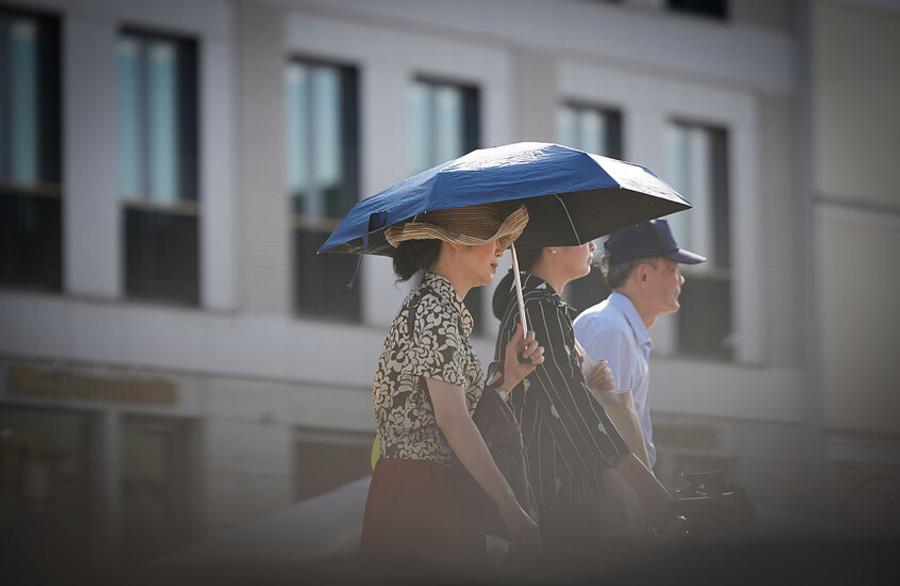 Heatwave drives sharp rise in deaths across Germany, preliminary data shows