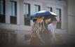 Heatwave drives sharp rise in deaths across Germany, preliminary data shows
