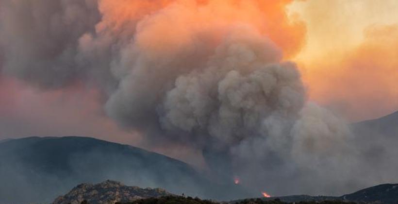 França lança campanhas de doação para florestas enquanto incêndios ameaçam áreas naturais