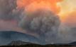France launches forest donation campaigns as wildfires threaten natural areas
