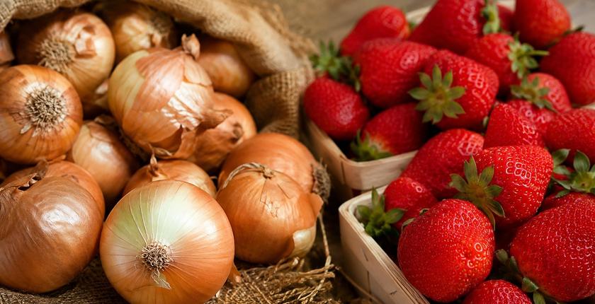 Agriculture marocaine : les tensions sur les oignons et le recul des fraises mettent en lumière les défis du secteur