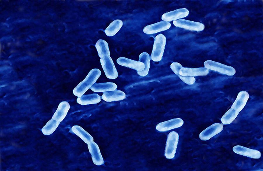 Legionnaires' disease outbreak in New York sickens 60 as investigation expands