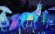 Le Magic Garden Festival illumine Marrakech avec plus de 100 sculptures lumineuses