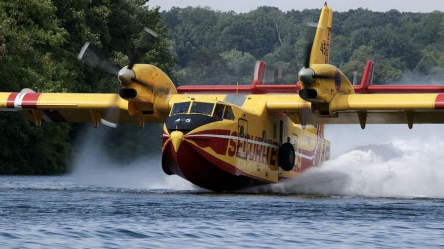 Incendies en France : le feu continue de progresser dans la forêt de Fontainebleau
