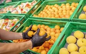 Le Maroc confirme son statut de premier fournisseur de fruits et légumes frais de l’Espagne en valeur