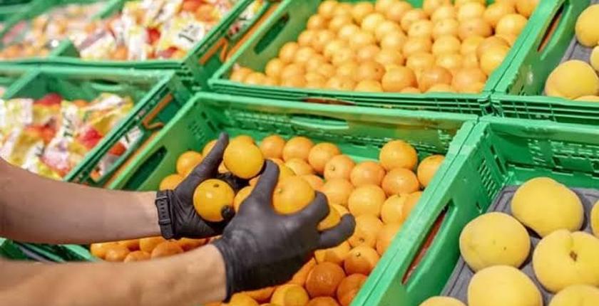Le Maroc confirme son statut de premier fournisseur de fruits et légumes frais de l’Espagne en valeur