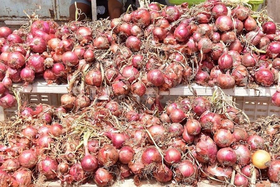 واردات البصل بالمغرب تقفز إلى مستوى قياسي