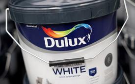 Russia places Akzo Nobel assets under temporary state administration