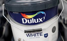 Russia places Akzo Nobel assets under temporary state administration