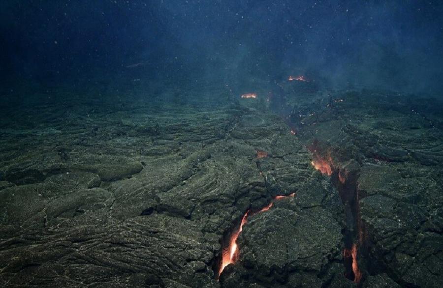 Scientists witness the birth of new oceanic crust in unprecedented geological discovery